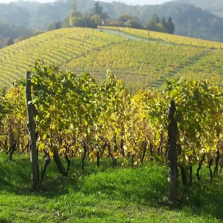 Il Giramondo *