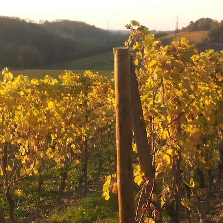 Bed & Breakfast Il Giramondo *